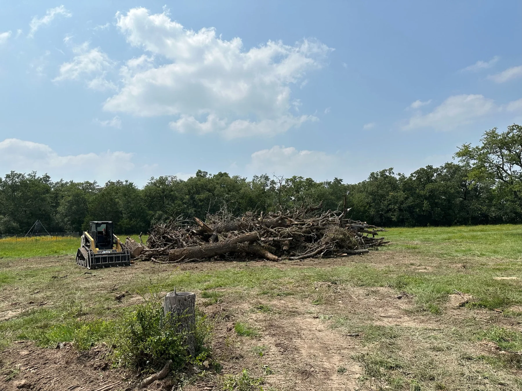 Cleared tree line after site work